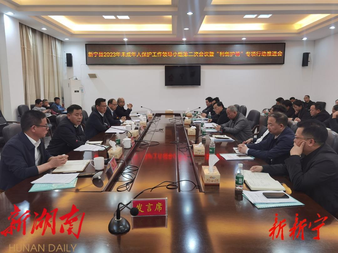 新宁县召开2023年未成年人保护工作领导小组第二次会议暨“利剑护蕾”专项行动推进会_邵阳头条网